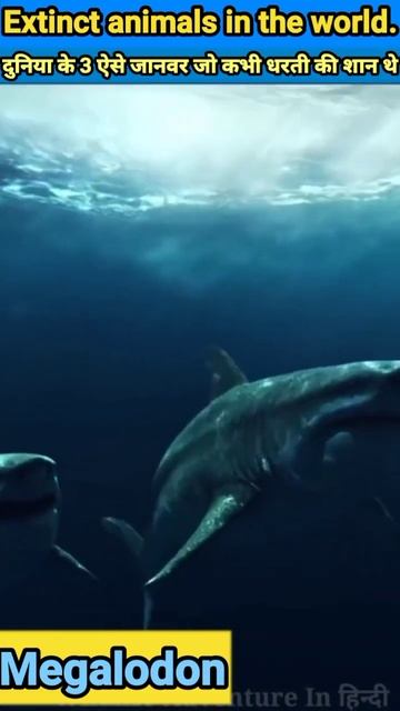 दुनिया के 3 ऐसे जानवर जो कभी धरती की शान थे 🦖|| Extinct Animals In The World🦕#shorts #anujbyfact смотреть онлайн
