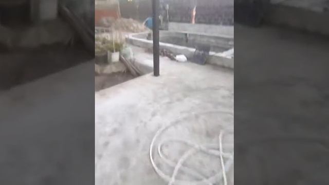 27.12.2017Лазаревское(Сочи) Зацвела слива, за 4 дня до нового года смотреть онлайн