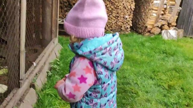 LifeNika. Nika feeds chickens and rabbits Кормим курочек и кроликов смотреть онлайн