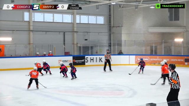 Матч №4 • Сокол-2 — Амур-2 • Сибириус 2015-U10  • ЛДС Кольцово • 29 марта 2024 в 14:45