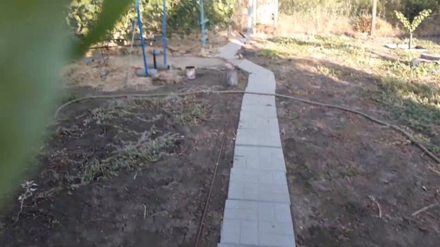 Прищипывание побегов перед цветением.