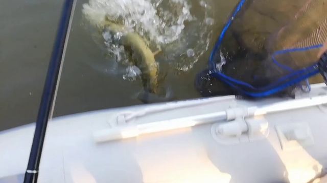 Darlık barajı Turna avı ve bot gezisi. nisan 2021