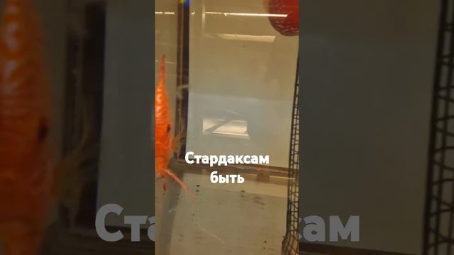 Повторный расплыв почти
