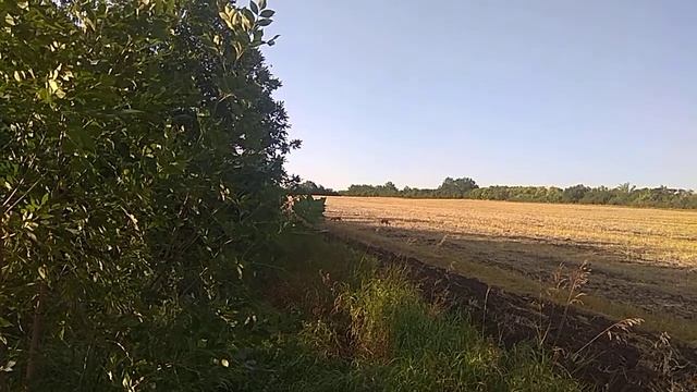 фото охота удалась. смотреть онлайн