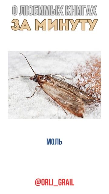 О любимых книгах за минуту. "И грянул гром". #рассказ #audiobook #story #интересное #shorts смотреть онлайн