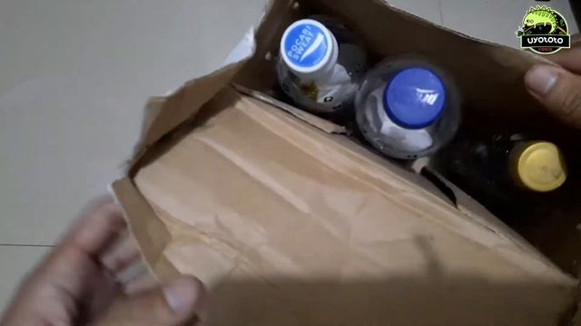 UNBOXING HEWAN REPTILE! смотреть онлайн