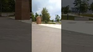 Прогулки, прошлый год