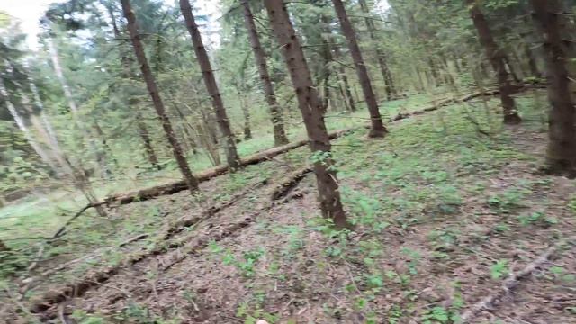 Накопал подков 14 века. И как жабы прятали находку смотреть онлайн