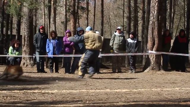 Чемпионат РКФ по БРР Пермь 7 мая 2017 смотреть онлайн