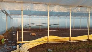 как быстро убрать лишнюю влагу с теплицы