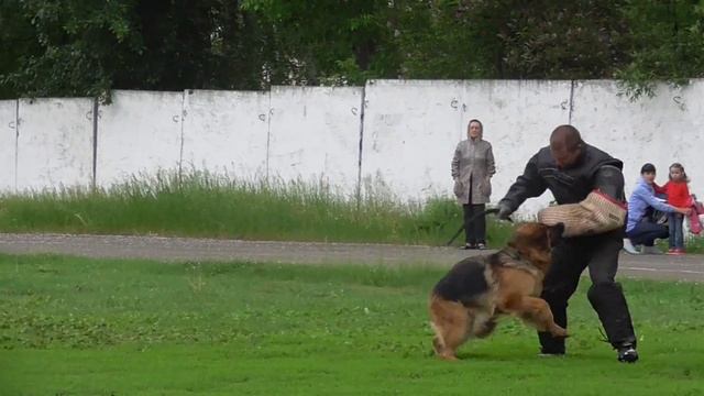 Рабочий-суки(Д/Ш)/Feyvorits Gods Charmel-№97/Фактор смотреть онлайн