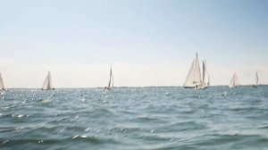 Регата – кубок ЗАЭС - Энергодар. Яхта Лиса_без проблем