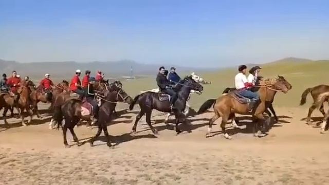 Кокпар аттардын парады 9 май смотреть онлайн