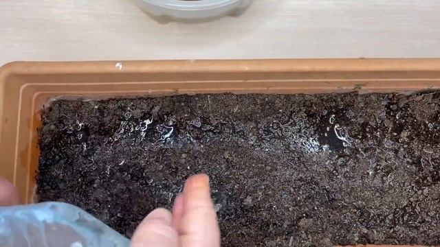 Semizotu Köklerini Sakın Atma! смотреть онлайн