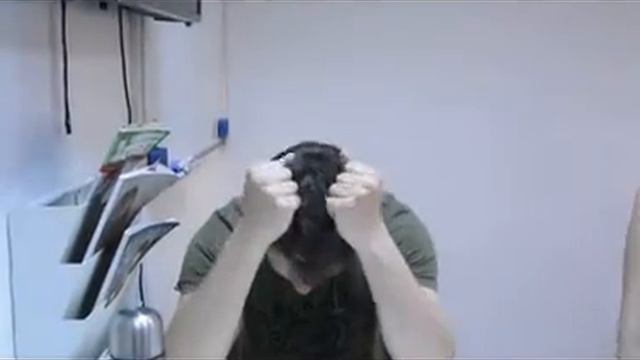 Дубль смотреть онлайн