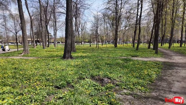 Прогулка по парку имени 40-летия освобождения Днепропетровска