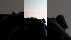 Как я одеваюсь в школу