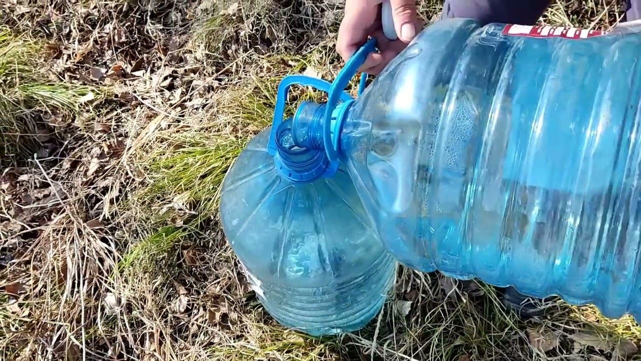 Первый березовый сок в 22 году / birch sap