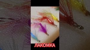 ХИТ СЕЗОНА ЛАКОМКА