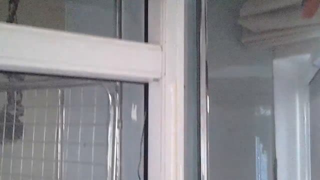 Жако Гриша и Агота .(Он же Жужа он же Бела )Как живем . смотреть онлайн