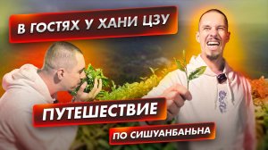 Путешествие по Нань Но Шань. Анцзи Бай Ча из пуэрного сырья.