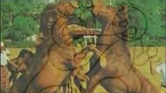 Why This Happened...?! смотреть онлайн