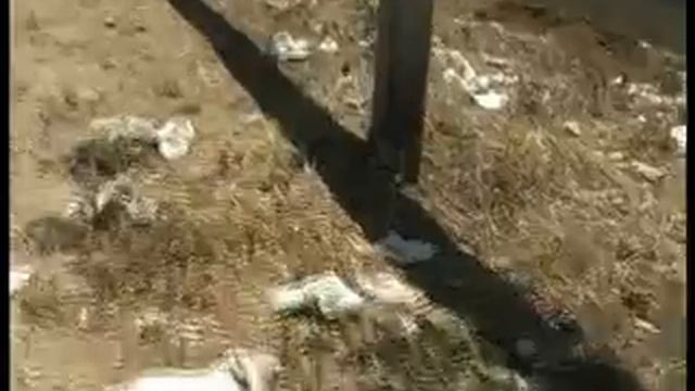 Estradó litoral ple de brutesa смотреть онлайн