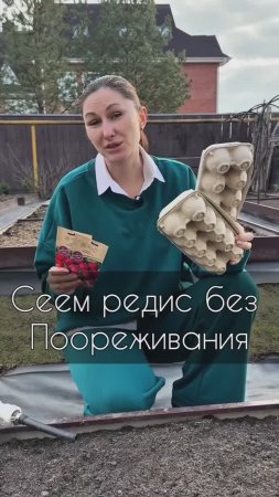 Сеем редис без прореживания