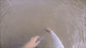 Catching Dinosaurs 110 Pound Alligator Gar In Texas