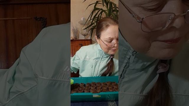 Посев семян лука порей | Ирина Родина