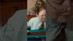 Посев семян лука порей | Ирина Родина