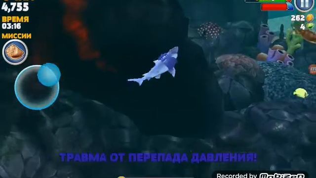 Мы играем в акулу смотреть онлайн