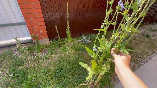 #влог Позвали на работу • Суд состоялся • Собираемся в отпуск • 4.08.22 смотреть онлайн