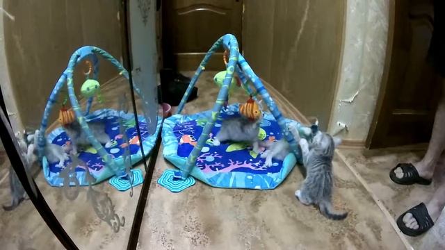 2015 10 25 06 35 56 смотреть онлайн