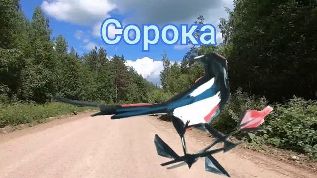 Птахи для дітей. Пізнавальне відео про птахів українською мовою. Вчимо пташок
