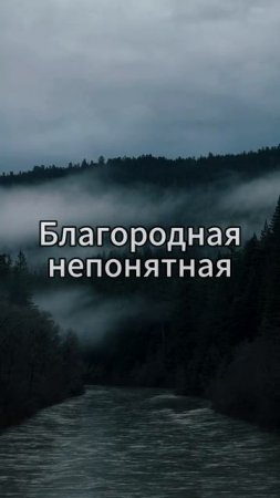 Александр Тремаскин