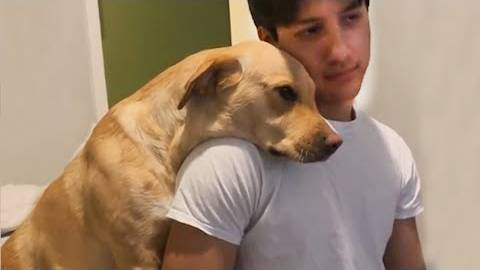 Собаки Любят не Всех, Но Этот Человек Особенный ❤️