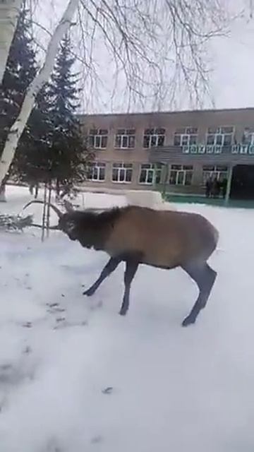 Это интересно в школе село Верхнеиткулово смотреть онлайн