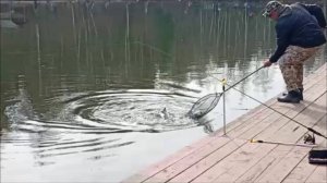 Перебор приманок приносит результаты. Рыбалка на Нижнем. Клёвое место Лосиный остров.