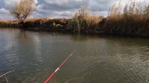 ОСЕННИЙ ЖОР У КАРАСЯ.