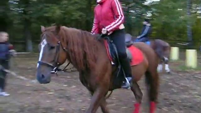 Vitebsk - horse смотреть онлайн