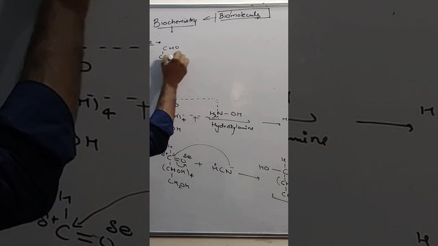 Biomolecule by NavRaj Sir #science  #chemistry