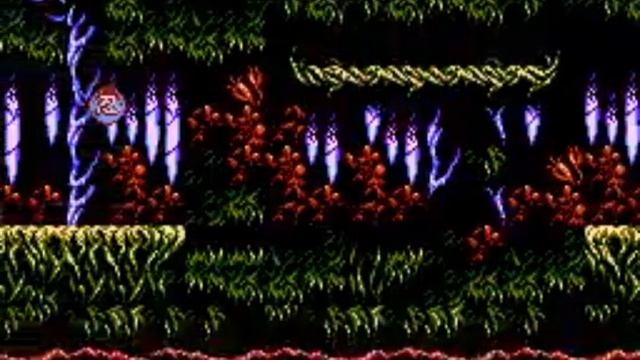 Выпуск 16. Обзор на Ninja Ryukenden 3.nes.mp4