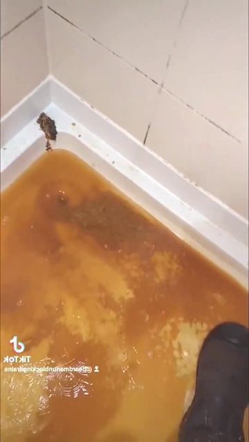 96 just me restoring flows 🤎 shower tray 🤯 #blockage #unblock #blockeddrain #poo смотреть онлайн