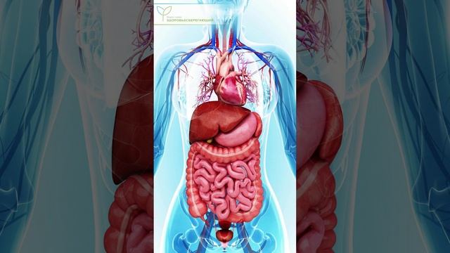 Неожиданные причины проблем с пищеварением и как их устранить