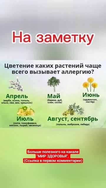 Цветение каких растений чаще всего вызывает аллергию?