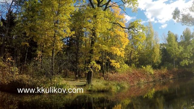 bright autumn leaves in park смотреть онлайн