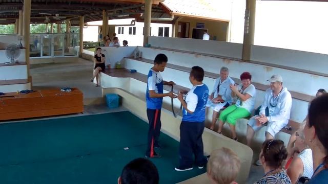 Шоу со змеями (Змеиная ферма) смотреть онлайн