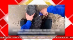 17.04.2025 Мировые новости