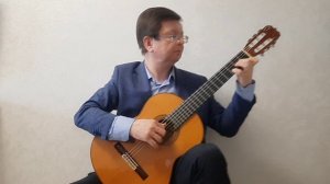 Мауро Джулиани "Аллегро" (Этюд ля минор